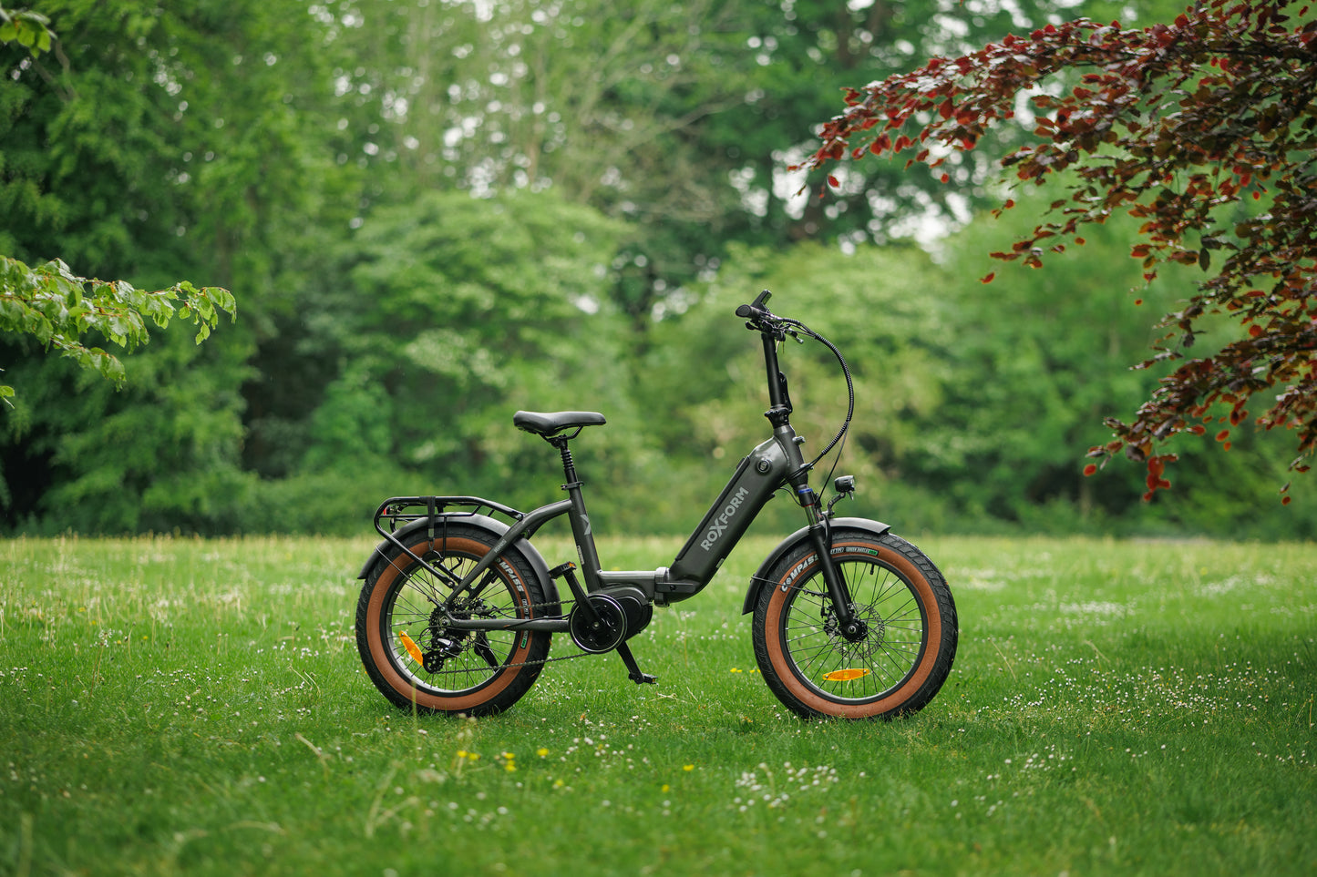 Roxform IGNIS