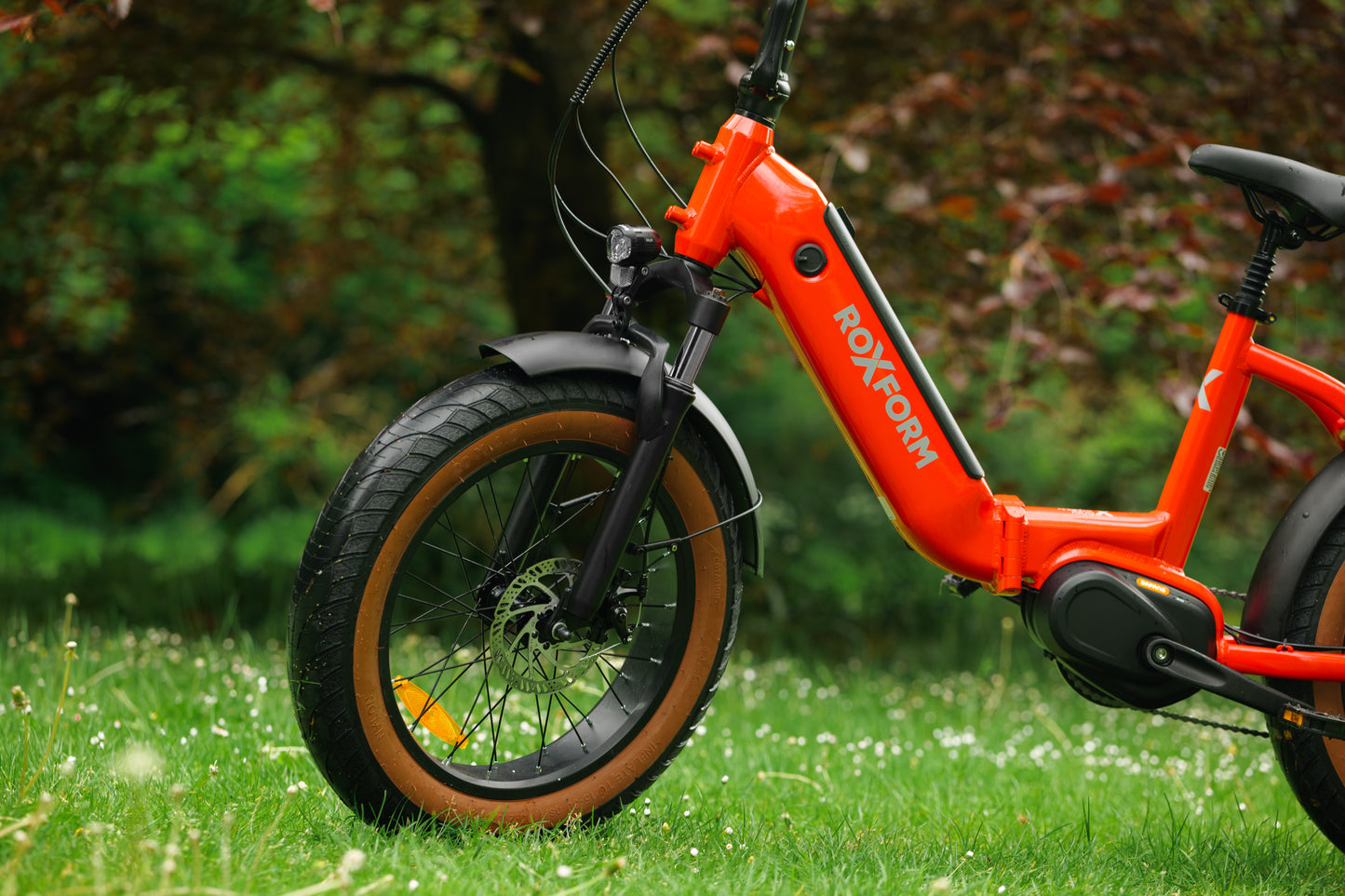 Roxform IGNIS