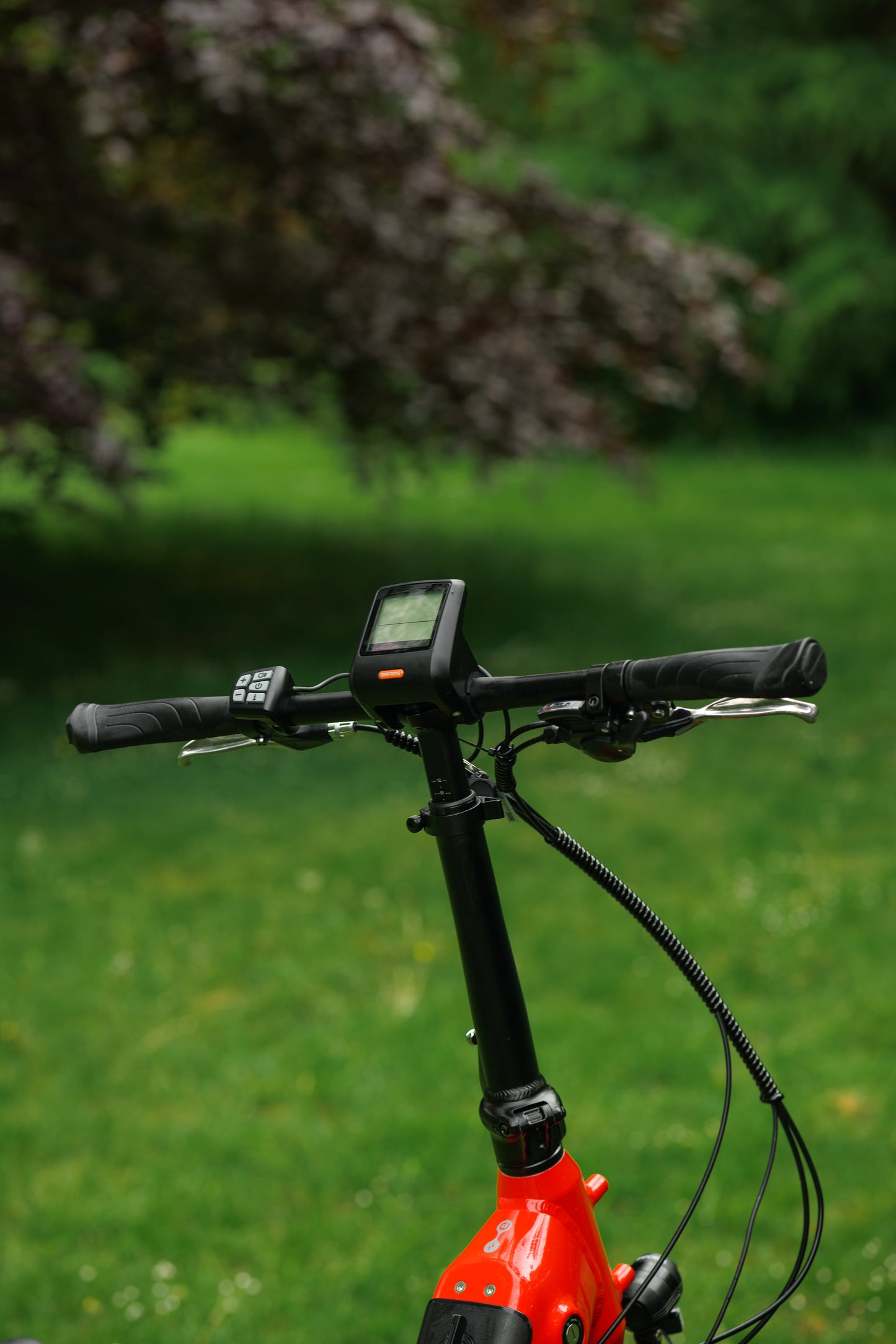 Roxform IGNIS