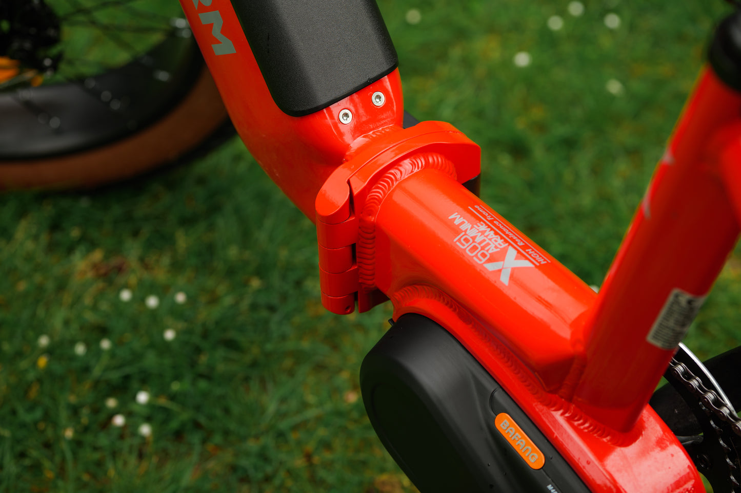 Roxform IGNIS