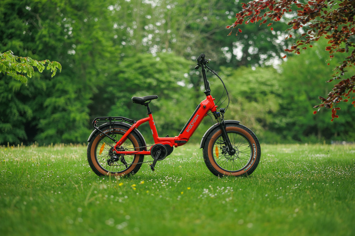 Roxform IGNIS