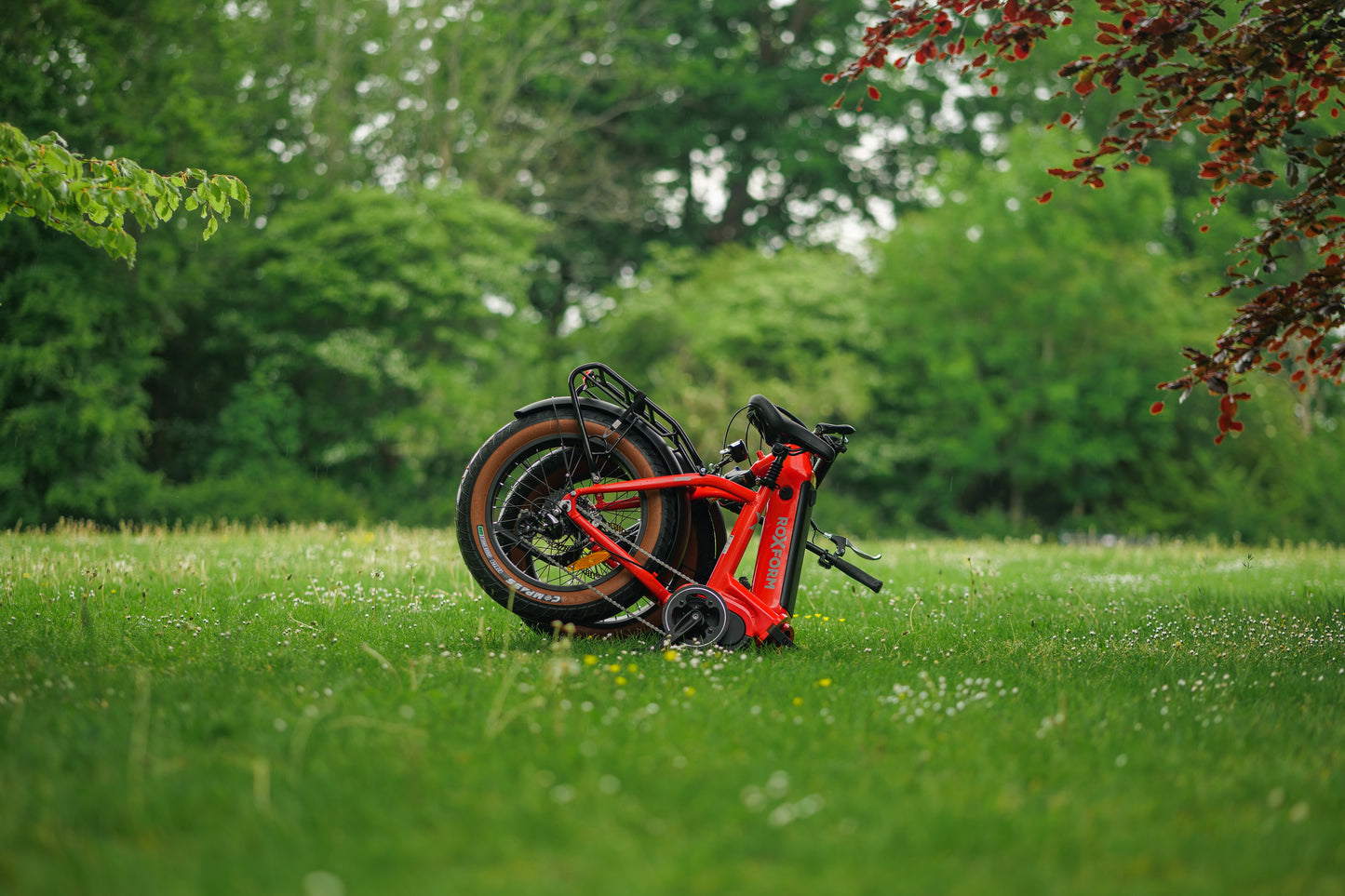 Roxform IGNIS