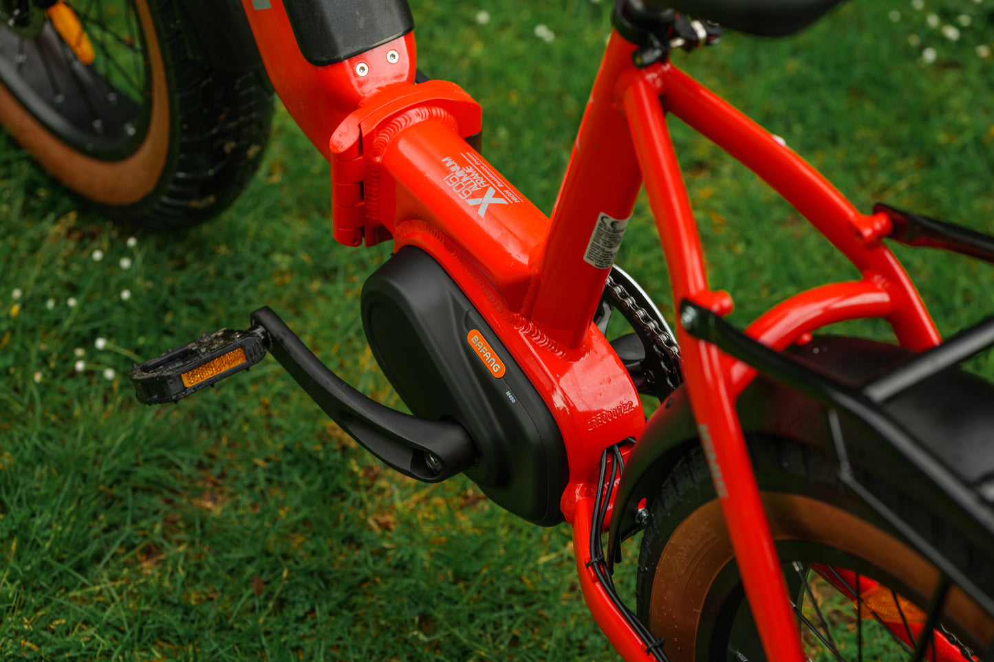 Roxform IGNIS