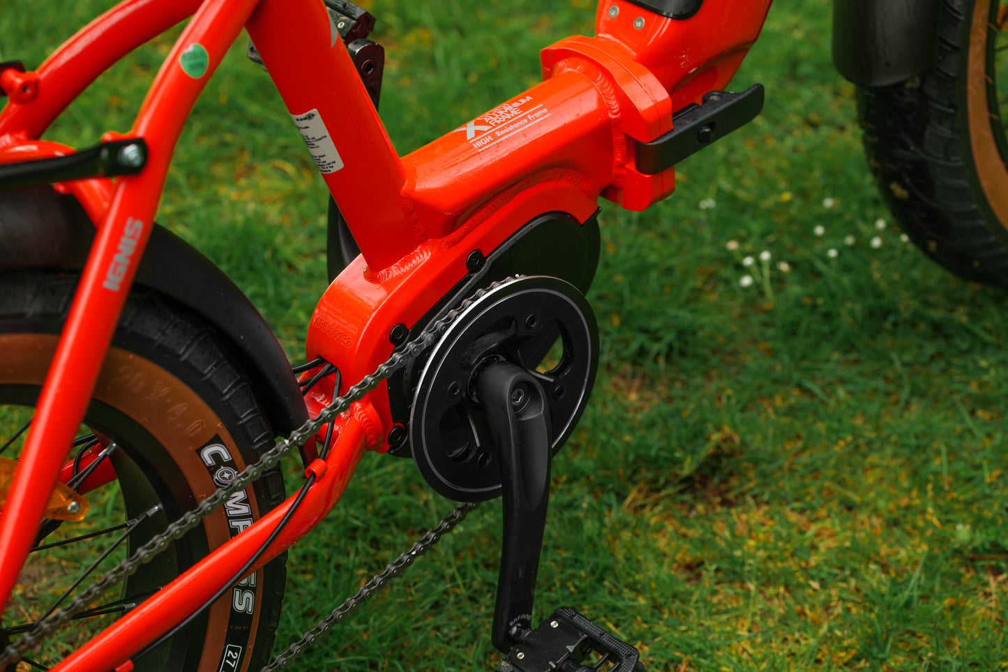 Roxform IGNIS