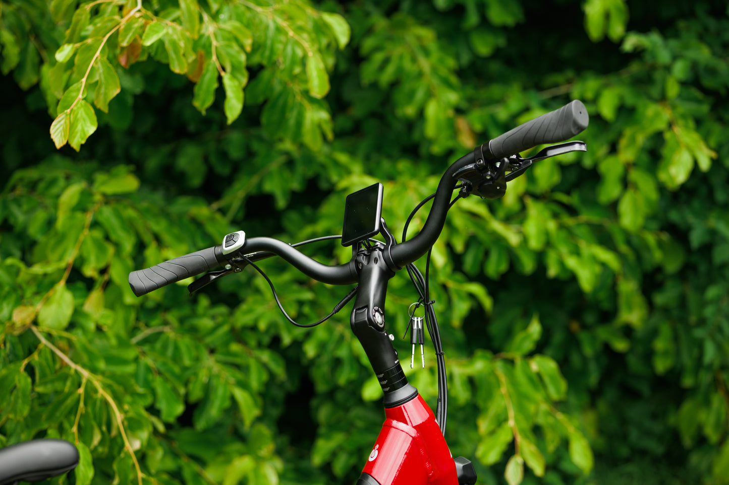 Roxform STRIDE S