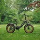 Roxform IGNIS