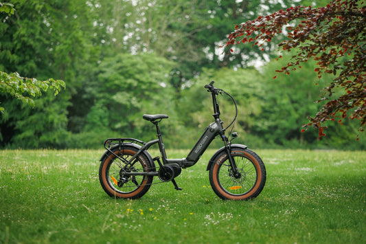 Roxform IGNIS