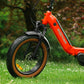 Roxform IGNIS