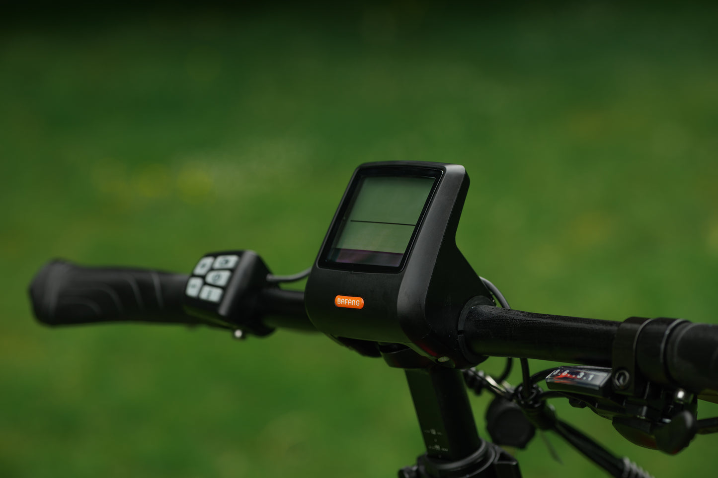 Roxform IGNIS