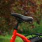 Roxform IGNIS