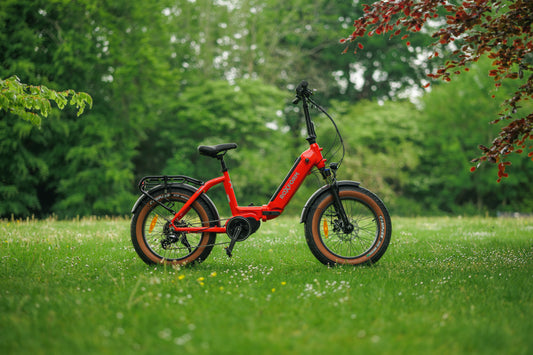Roxform IGNIS