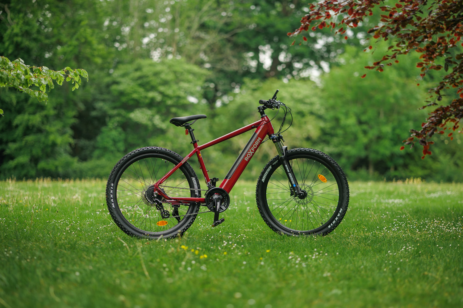 Electric Bikes