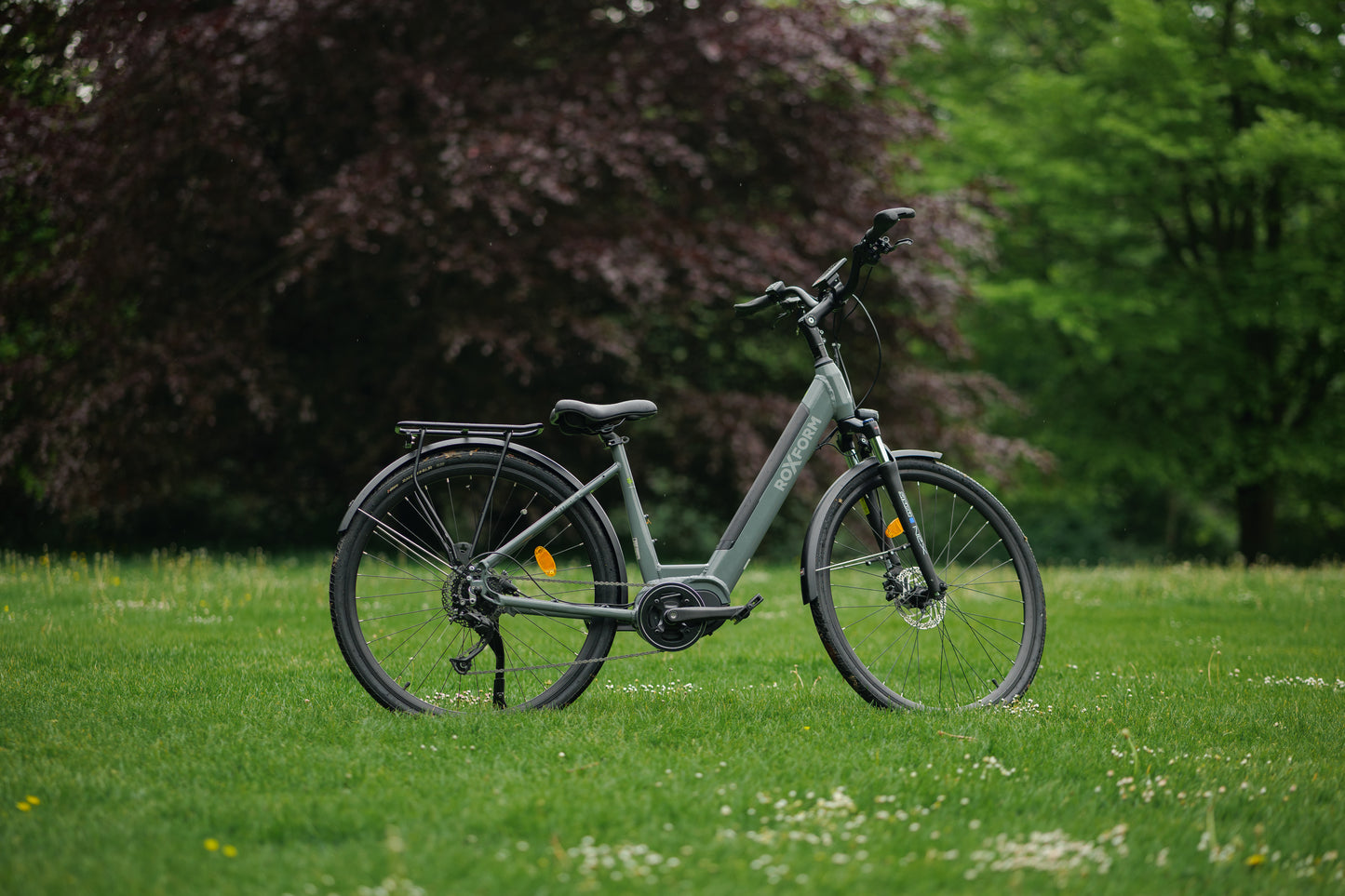 Roxform STRIDE L