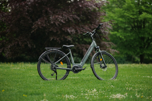 Roxform STRIDE L
