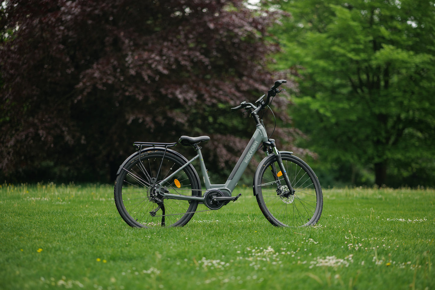 Roxform STRIDE L