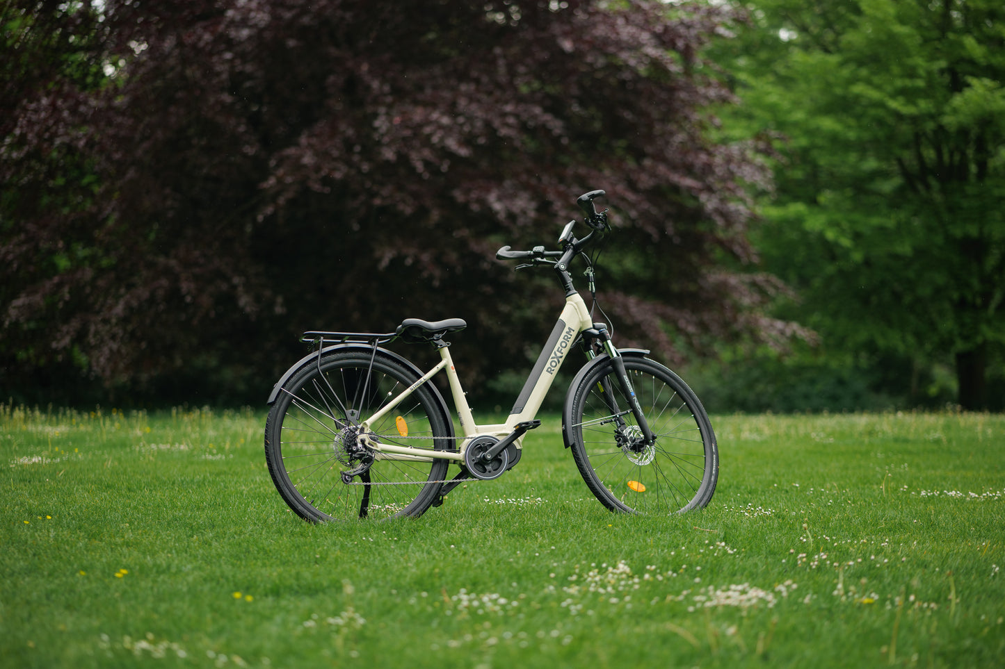 Roxform STRIDE L
