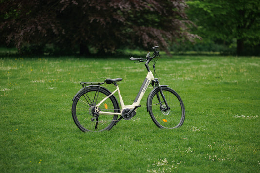 Roxform STRIDE L