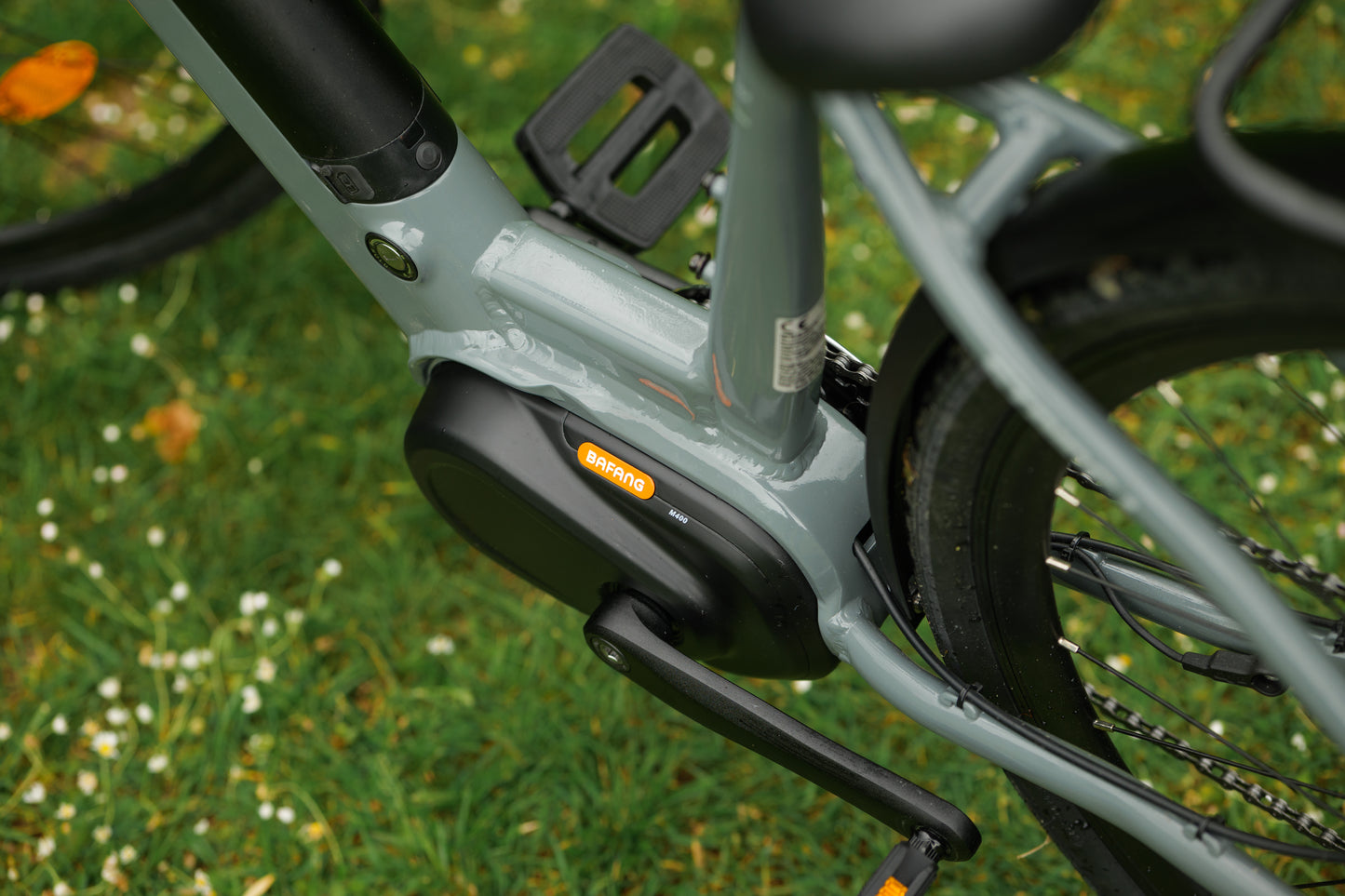 Roxform STRIDE L