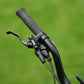 Roxform STRIDE S