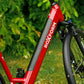 Roxform STRIDE S