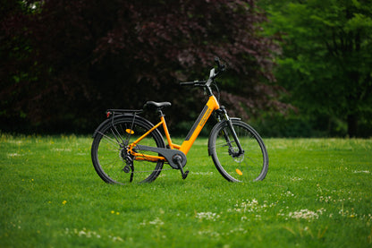 Roxform STRIDE S