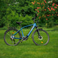 Roxform VALOR L