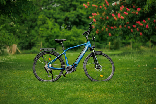 Roxform VALOR L